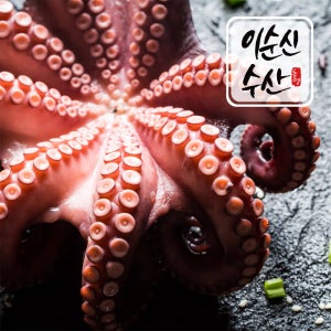 이순신수산 남해안 자연산 돌문어 1kg(1-4미)