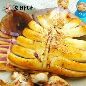 반건조 오징어 5마리(HACCP 인증)