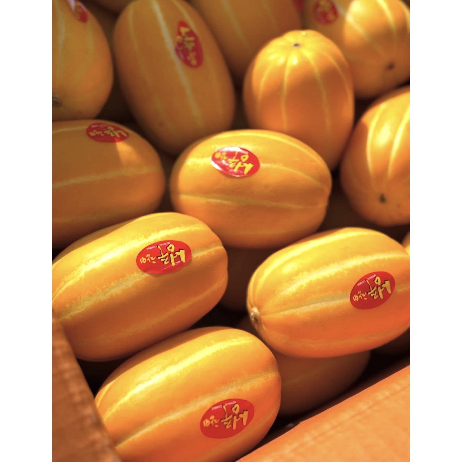 성주 하우스 꿀 참외 10kg
