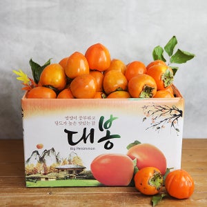 26년 갓 수확한 햇 영암 대봉감 중소과 5kg (25과내)