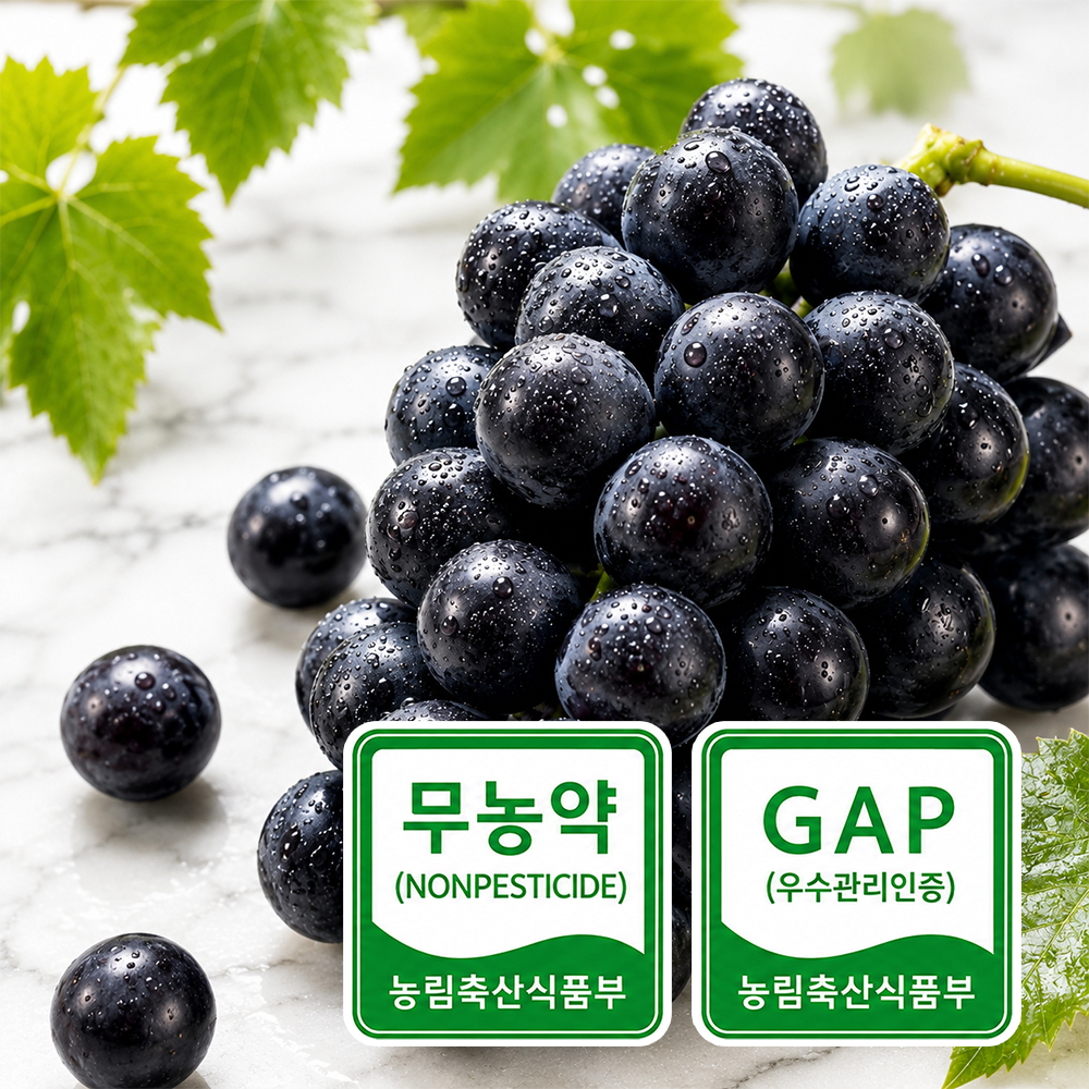 블랙펄 포도 1kg