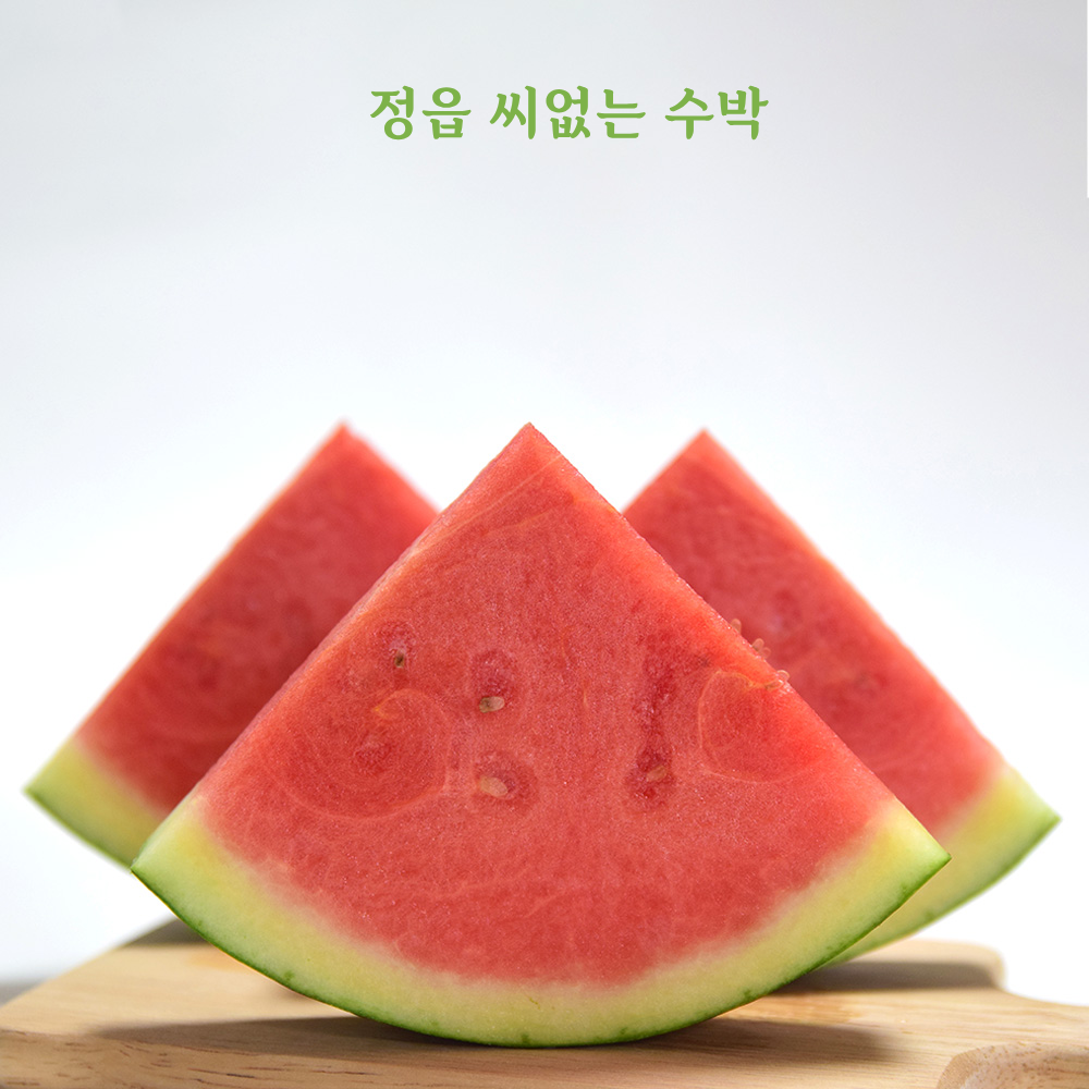 정읍 흑수박 7kg