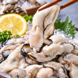 통영 횟감 생굴 1kg (네멤)
