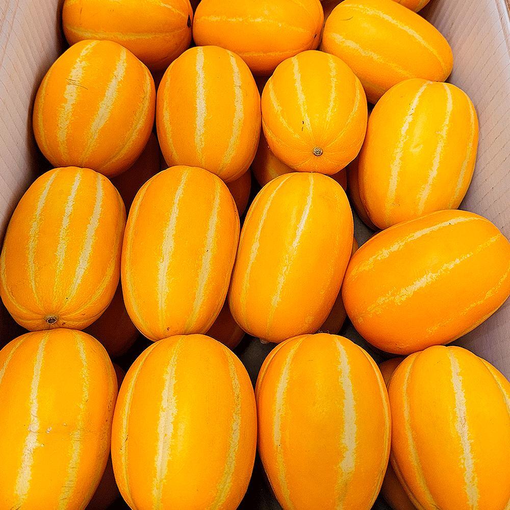 당도선별 정품 성주꿀참외 특품 2kg (12브릭스이상)