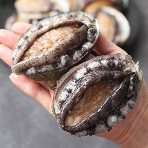 완도 활 특대 전복 1kg 9-10미