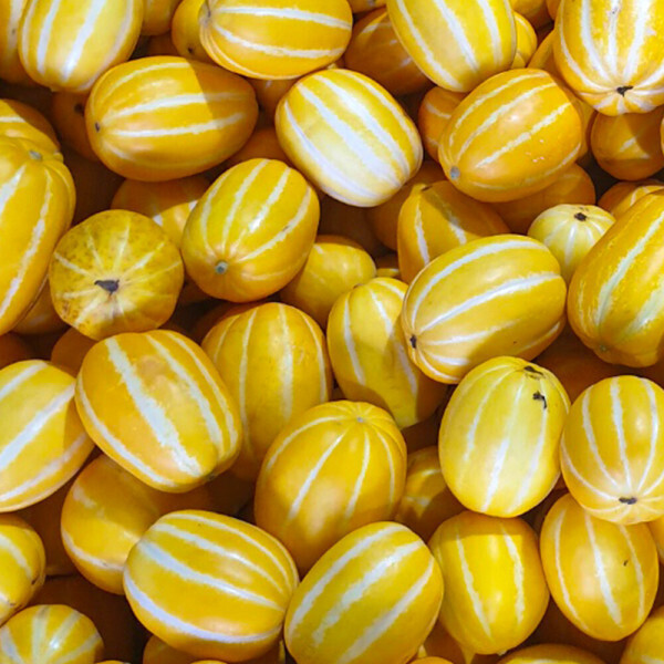 성주 참외 10kg 실중량 혼합과