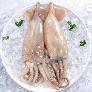 자연산 손질 통오징어 1.1kg