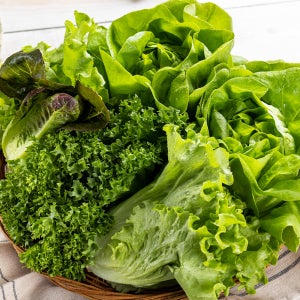 유러피안 샐러드야채 모듬쌈 1kg