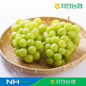 농협선별 샤인머스켓 2kg