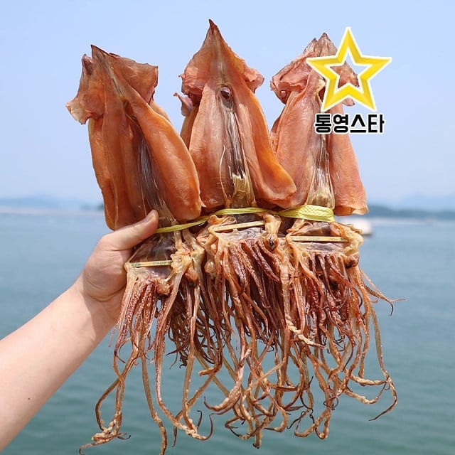 반건조/마른 오징어 모음전