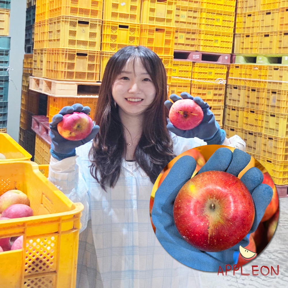 못난이 사과 흠과 5kg