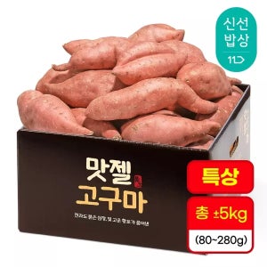 2026년 햇단밤고구마 5kg 실속형 특상
