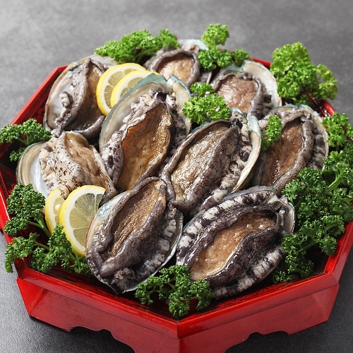 완도 활 전복 1kg 9-10미