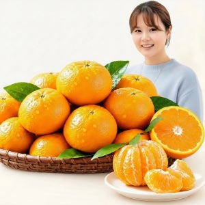 제주 감귤 로얄과 10kg
