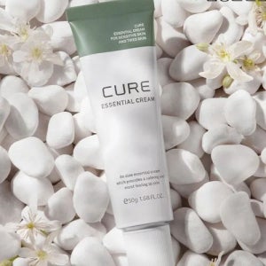 김정문알로에 큐어 에센셜크림 50ml 2개