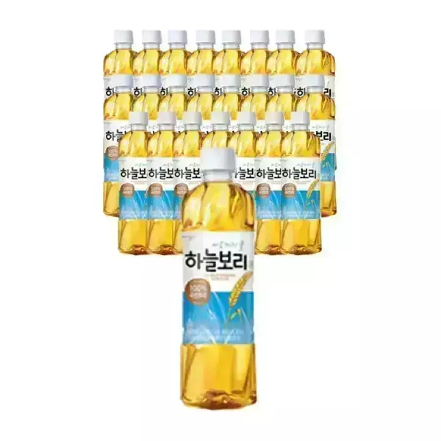 웅진 하늘보리 유/무라벨 랜덤 500ml 24개
