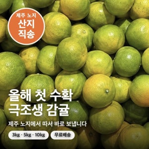 극조생 감귤 3kg 중과