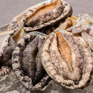완도 활 전복1kg 6-7미 특대전복