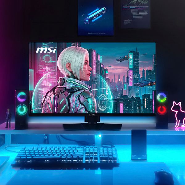 MSI MAG 272QP QD-OLED X24 WQHD 240 모니터