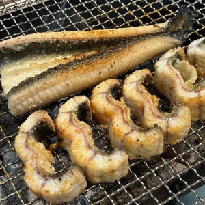 자포니카 장어 국내산 고창 민물장어 1kg 손질 후 700g