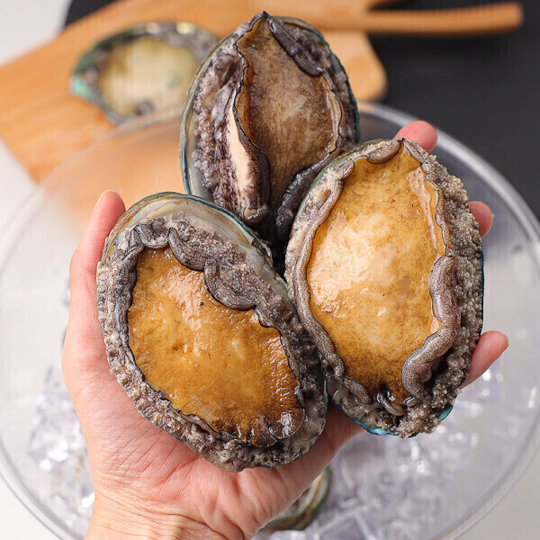 청정 완도 활전복 특대복 6-7미 1kg