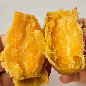 해남 햇 호박고구마 5kg 특상(100~320g)