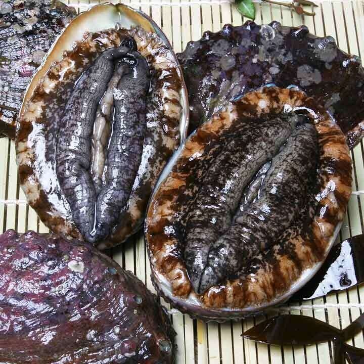 완도 활전복9-10미 산소포장(요리용)