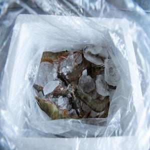26년 첫 출시 !! 햇 새우 1kg( 37미 ~ 42미 내외)