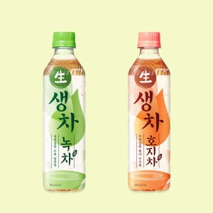 생차 녹차 500mL 20개+생차 호지차 500mL 20개 (네멤)
