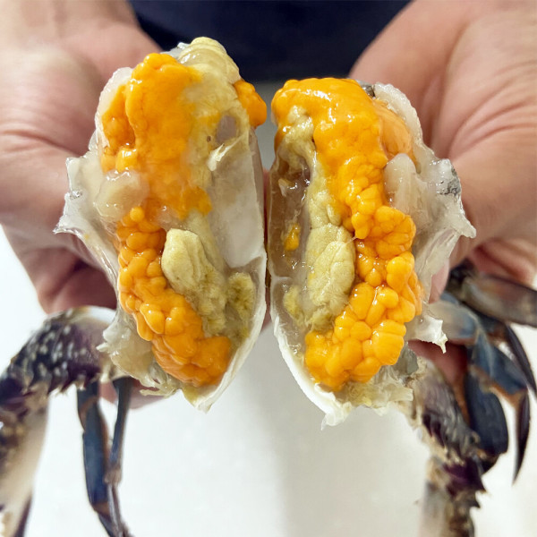 산지직송 제철 급냉 꽃게 1kg 4-6미