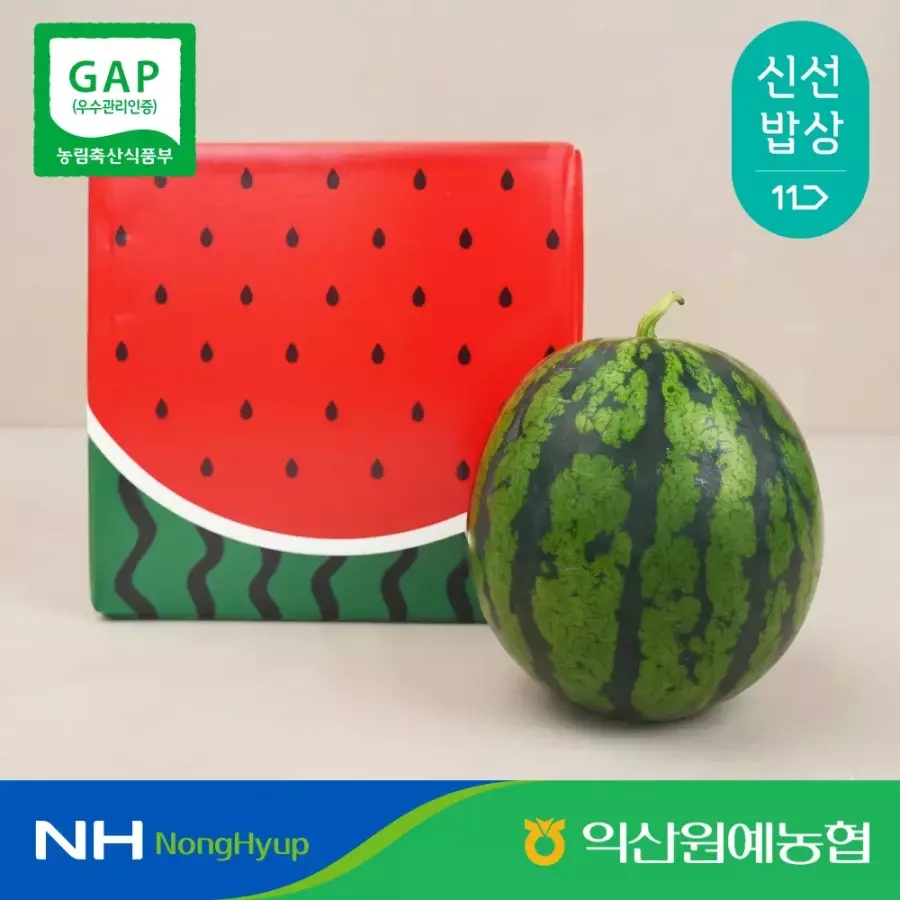 농협 특품 당도선별 꿀수박 6kg