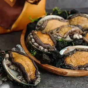 완도 활 전복1kg 6-7미 특대전복 횟감용 구이용 살아서도착 + 세척솔 증정