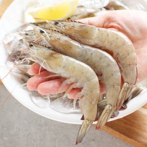 신안 햇 생물새우 1kg 35~45미 내외