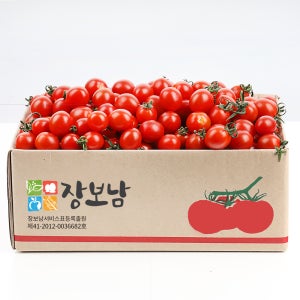 대추 방울토마토 2kg 네이버