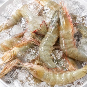 26년 제철 신안 활새우 1kg 28미내외
