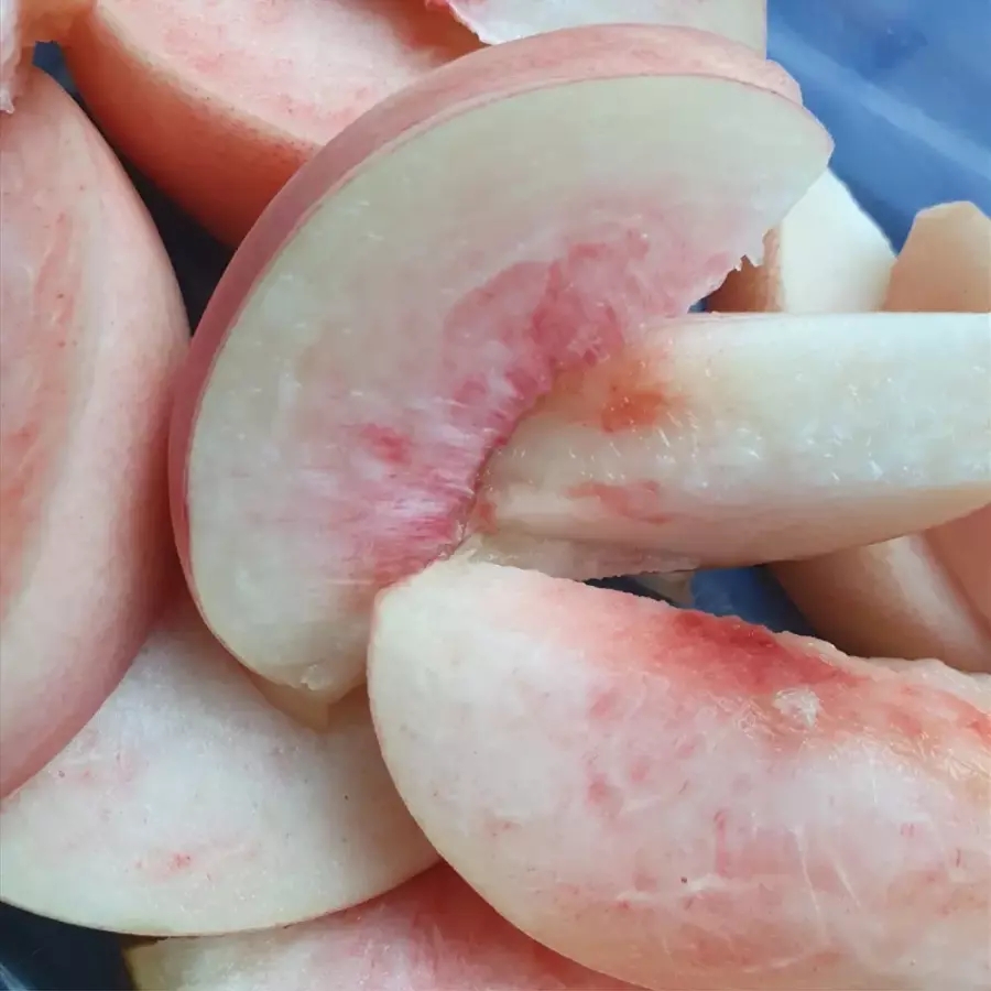 고당도 백도 복숭아 로얄과 2kg