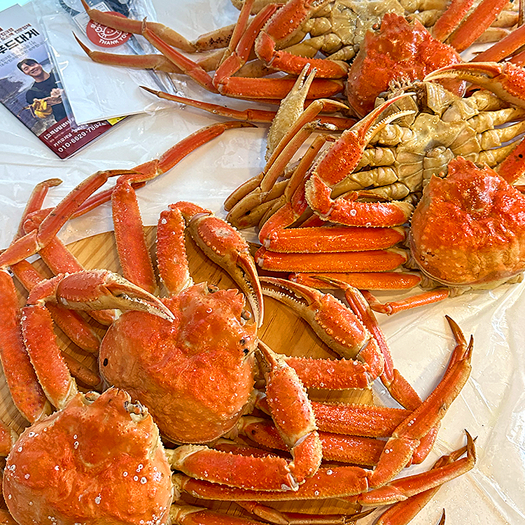 특A급 박달대게 자숙대게 1kg