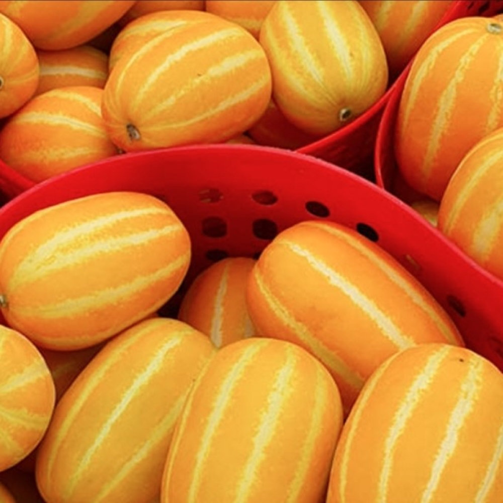 성주 참외 10kg 가정용 혼합과