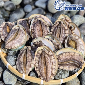국산 활 전복 1KG (6미)