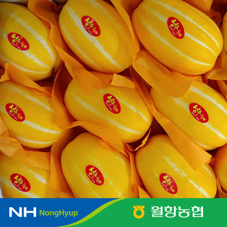 국내산 성주 참외 로얄과 2kg 12brix 이상
