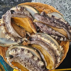 완도 활전복 1kg 5~6미