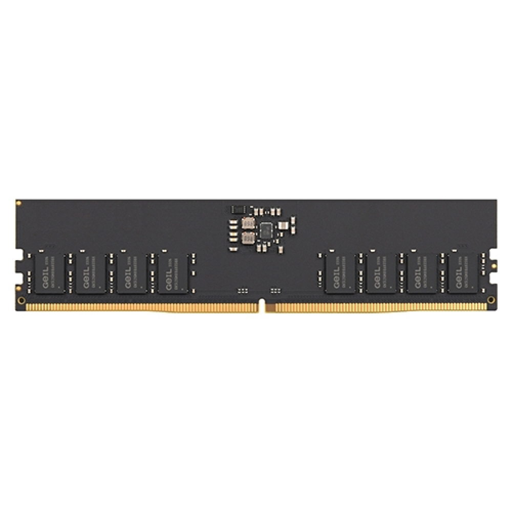 게일 DDR5-5200 CL42 PRISTINE V (16GB)