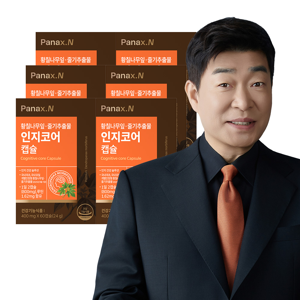 파낙스엔 인지코어 6박스 / 6개월분